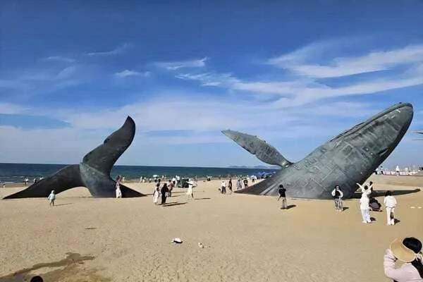 Tour Thanh Đảo – Bồng Lai – Yên Đài 5N5Đ Bay Shandong Airlines