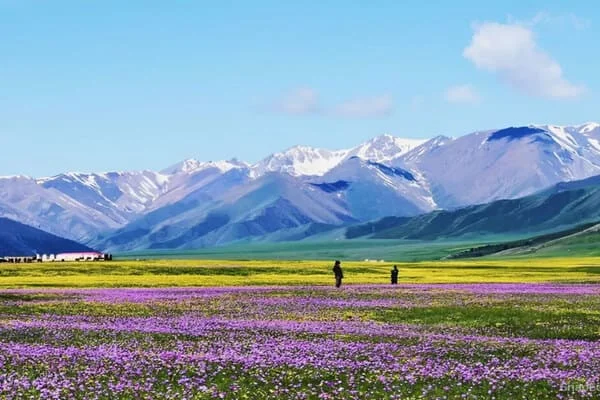TOUR DU LỊCH URUMQI – BURQIN – JIADENGYU KHUÊ ĐỒN – Y NINH – TEKES ( THỜI GIAN: 9N9Đ, HK: AIR CHINA)